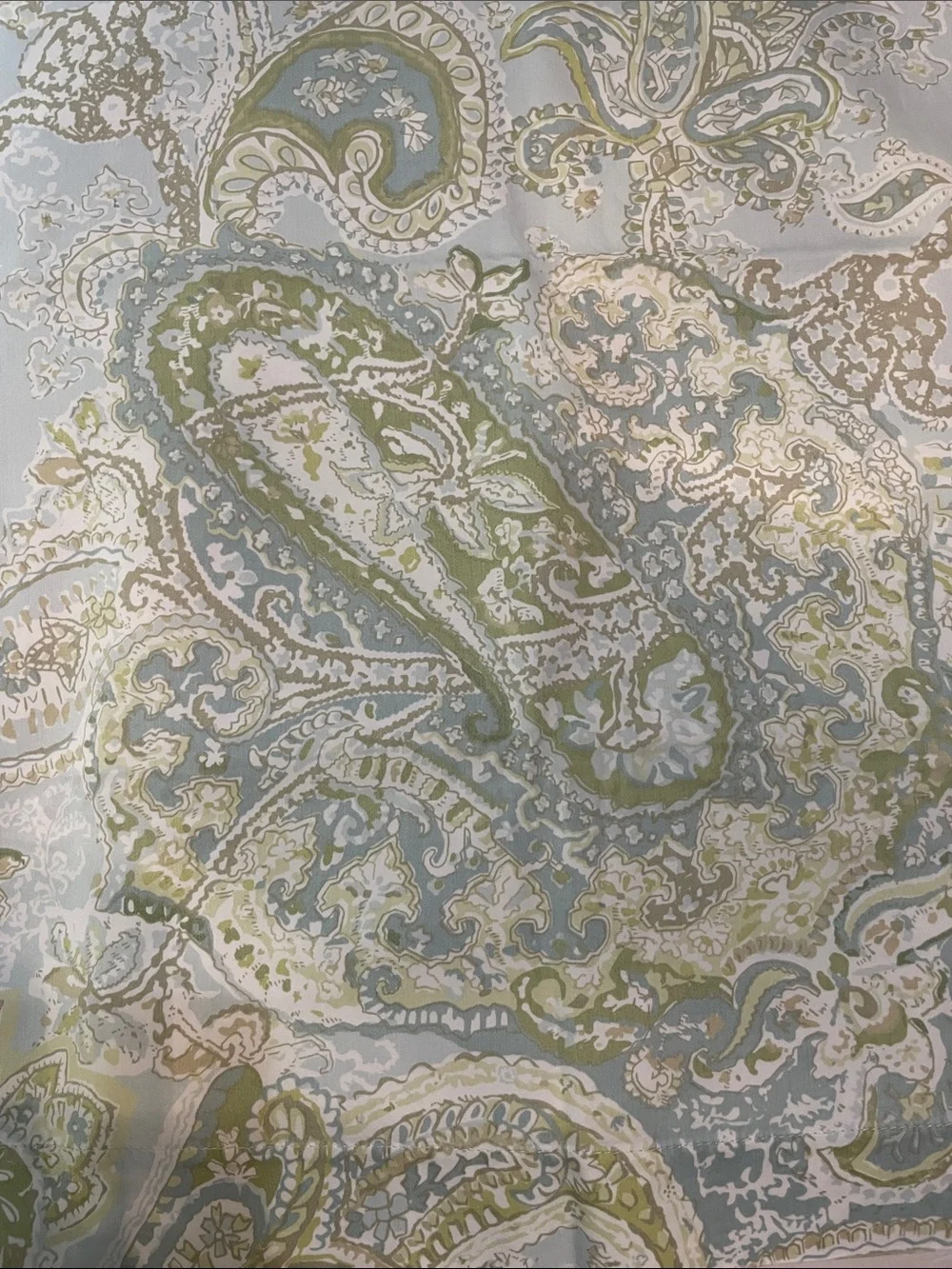 Pottery Barn 100% Cotton Blue and Green Paisley Decorative Pillow Shams